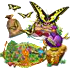 [​IMG]