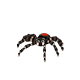 [​IMG]
