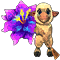 [​IMG]
